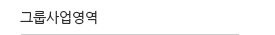 그룹사업영역